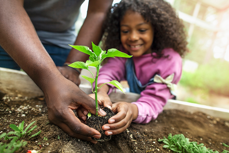 Girl planting a tree